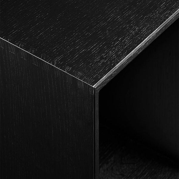 013 Door Modern Large Size H67 W33 D1.2 Ash Black Stained